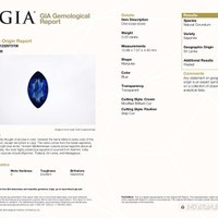 Jewelry Scan Report