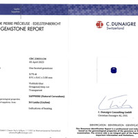 3.71 Ct. Blue Sapphire from Ceylon (Sri Lanka) Scan Report