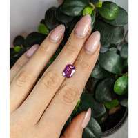 3.64 Ct. Pink Sapphire from Ceylon (Sri Lanka) Life Style