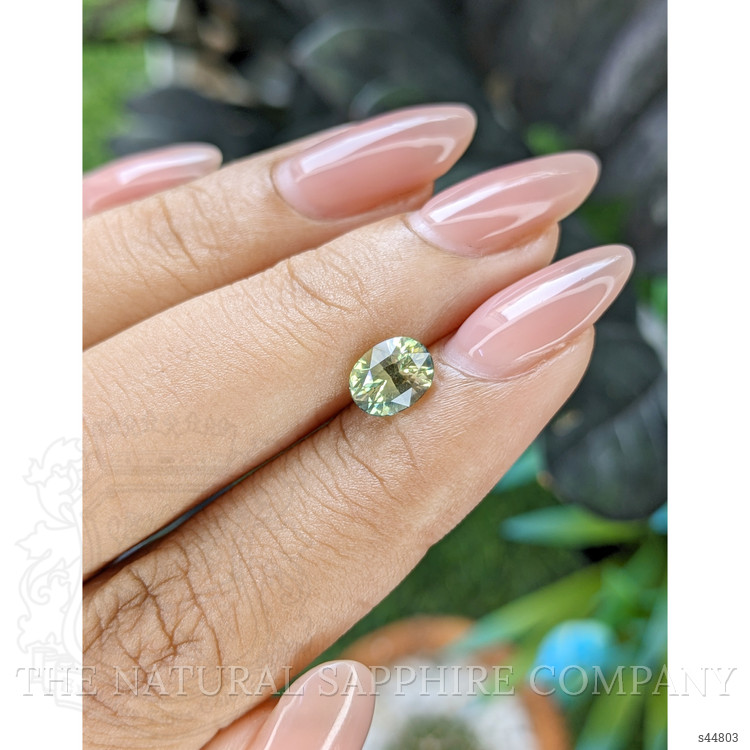 1.53 Ct. Yellowish Green Sapphire from Africa