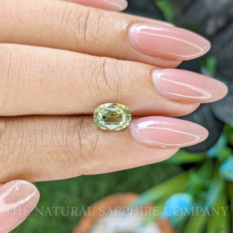 1.71 Ct. Yellowish Green Sapphire from Africa