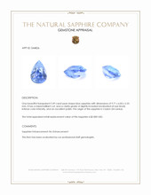 2.49 Ct. Blue Sapphire from Ceylon (Sri Lanka) Appraisal