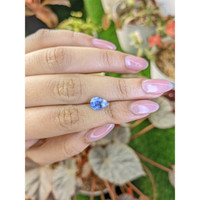 2.49 Ct. Blue Sapphire from Ceylon (Sri Lanka) Life Style