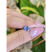 1.75 Ct. Blue Sapphire from Ceylon (Sri Lanka) Life Style