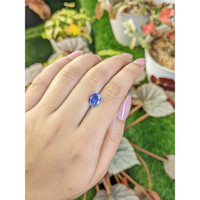 2.52 Ct. Blue Sapphire from Ceylon (Sri Lanka) Life Style