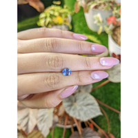 1.31 Ct. Blue Sapphire from Ceylon (Sri Lanka) Life Style