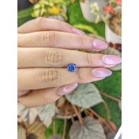 1.86 Ct. Blue Sapphire from Ceylon (Sri Lanka) Life Style