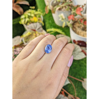 6.27 Ct. Blue Sapphire from Ceylon (Sri Lanka) Life Style
