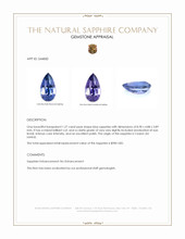 1.27 Ct. Blue Sapphire from Ceylon (Sri Lanka) Appraisal