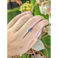 1.27 Ct. Blue Sapphire from Ceylon (Sri Lanka) Life Style