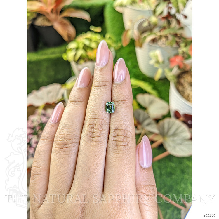 1.58 Ct. Yellowish Green Sapphire from Ceylon (Sri Lanka)