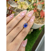 4.13 Ct. Blue Sapphire from Ceylon (Sri Lanka) Life Style