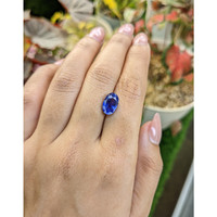 4.13 Ct. Blue Sapphire from Ceylon (Sri Lanka) Life Style