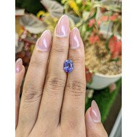 2.64 Ct. Violet Sapphire from Ceylon (Sri Lanka) Life Style
