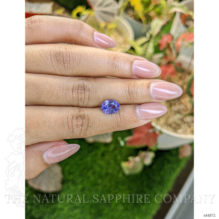 2.64 Ct. Violet Sapphire from Ceylon (Sri Lanka)
