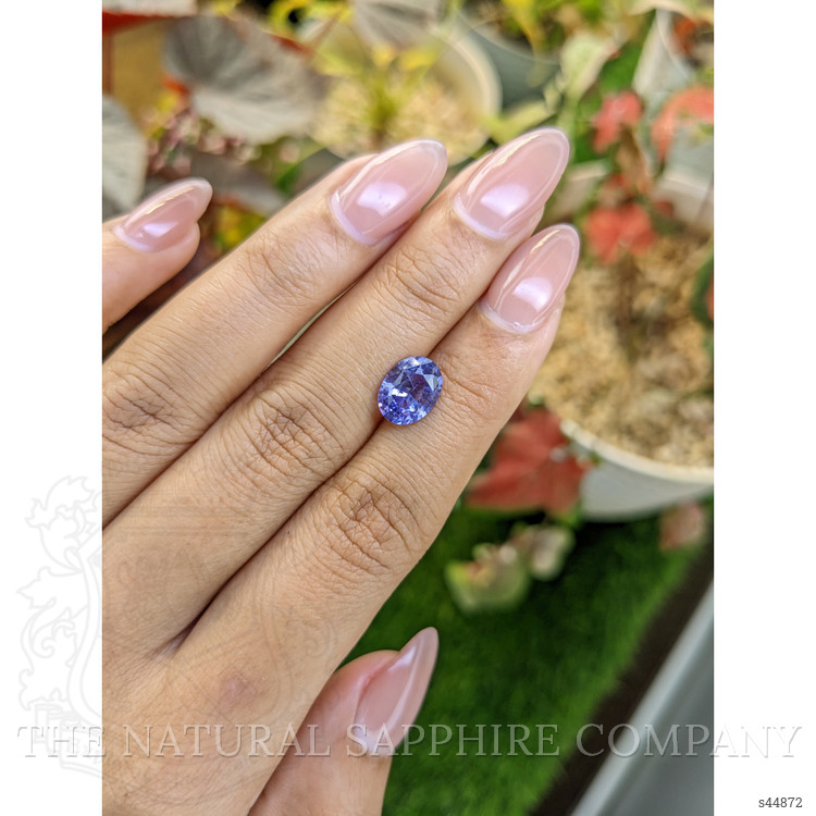 2.64 Ct. Violet Sapphire from Ceylon (Sri Lanka)