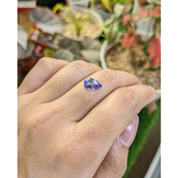 2.09 Ct. Violet Sapphire from Ceylon (Sri Lanka) Life Style