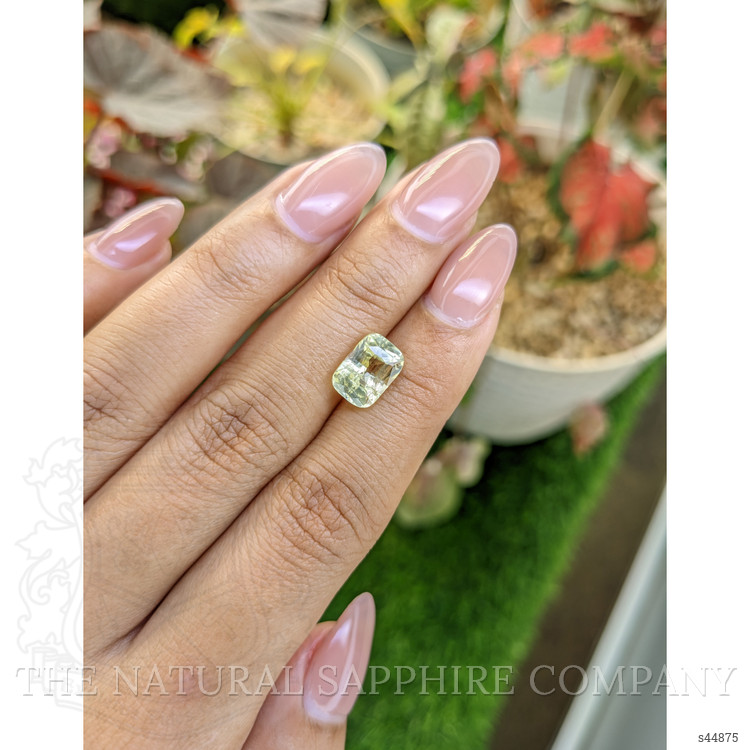 3.51 Ct. Greenish Yellow Sapphire from Ceylon (Sri Lanka)