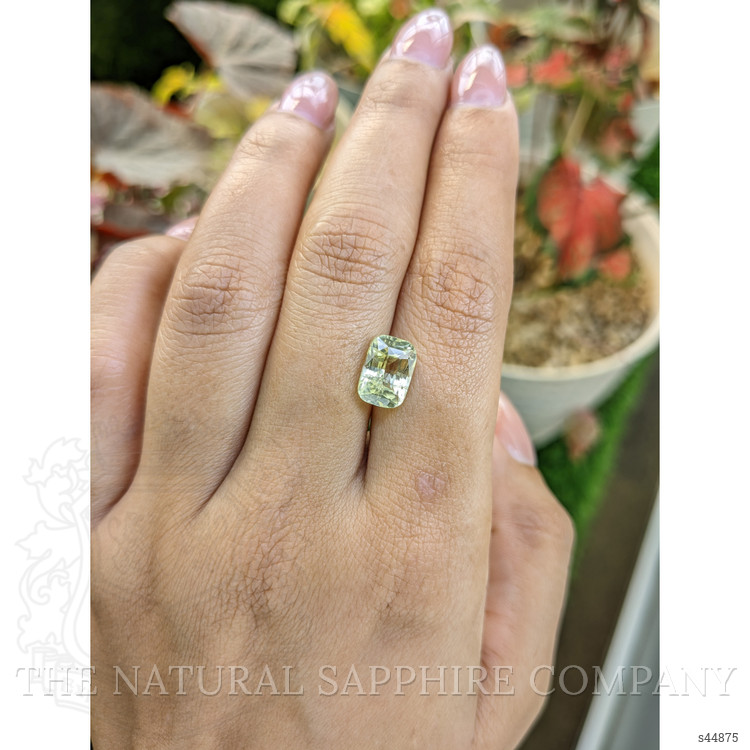 3.51 Ct. Greenish Yellow Sapphire from Ceylon (Sri Lanka)