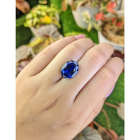 8.04 Ct. Blue Sapphire from Ceylon (Sri Lanka) Life Style