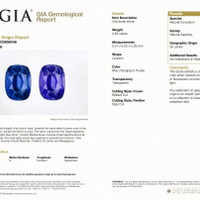 2.65 Ct. Color Change Sapphire from Ceylon (Sri Lanka) Scan Report
