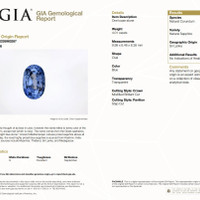 4.01 Ct. Blue Sapphire from Ceylon (Sri Lanka) Scan Report
