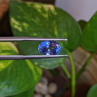 4.01 Ct. Blue Sapphire from Ceylon (Sri Lanka) Life Style