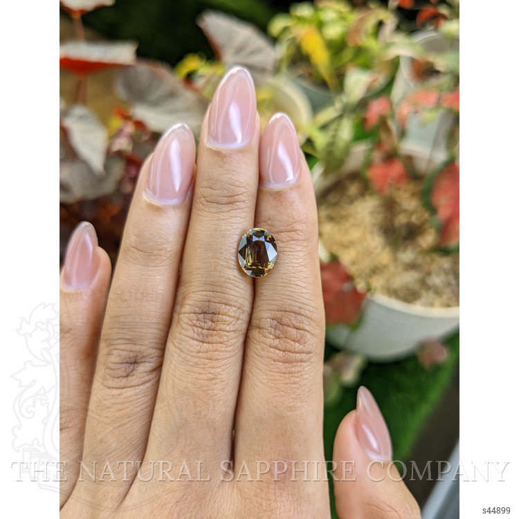 3.48 Ct. Brown Sapphire from Ceylon (Sri Lanka)