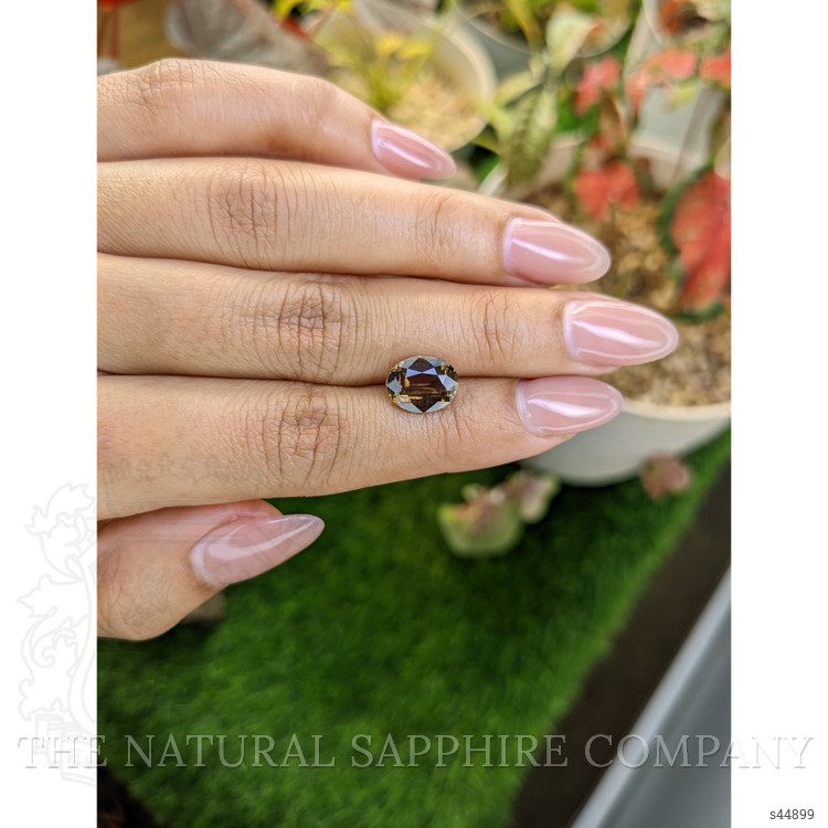 3.48 Ct. Brown Sapphire from Ceylon (Sri Lanka)