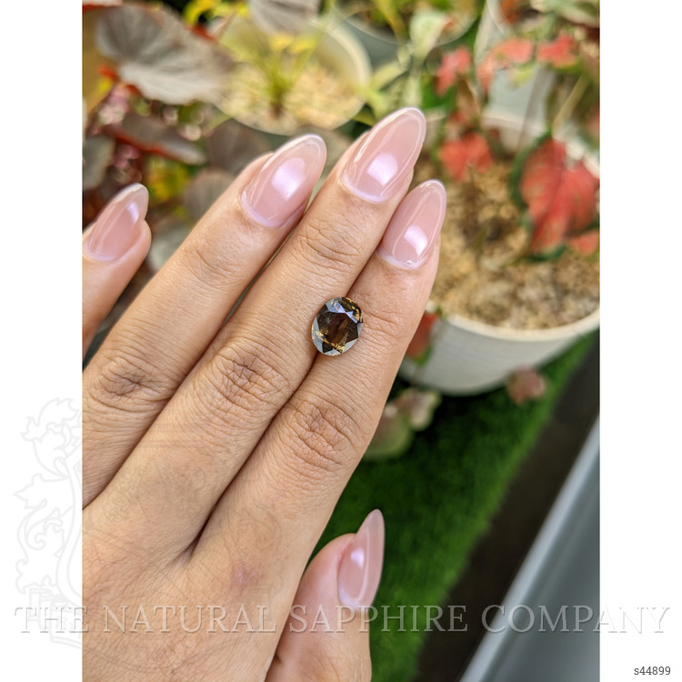 3.48 Ct. Brown Sapphire from Ceylon (Sri Lanka)