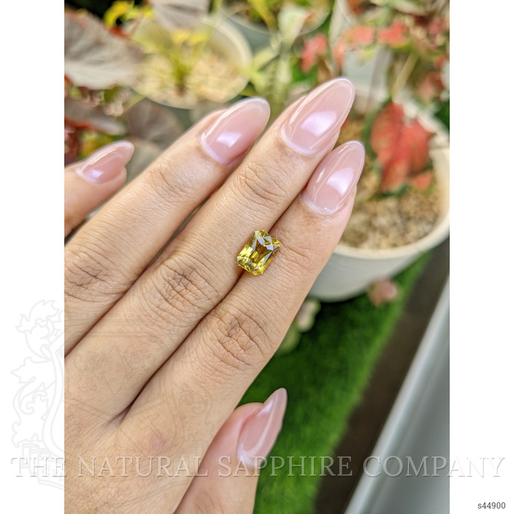 2.72 Ct. Greenish Yellow Sapphire from Ceylon (Sri Lanka)
