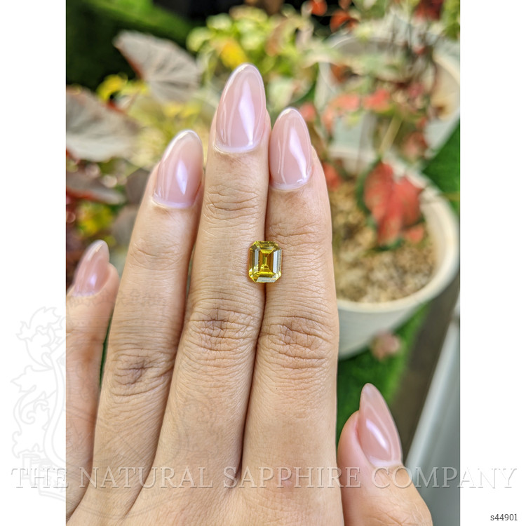 2.30 Ct. Greenish Yellow Sapphire from Ceylon (Sri Lanka)