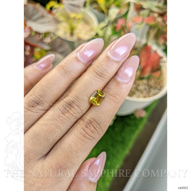 2.30 Ct. Greenish Yellow Sapphire from Ceylon (Sri Lanka)