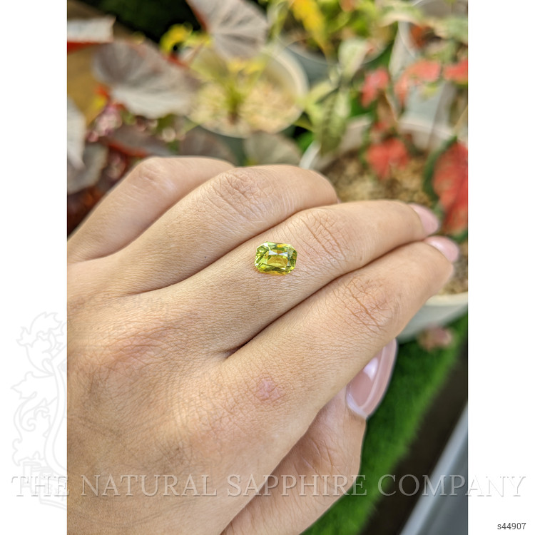1.96 Ct. Greenish Yellow Sapphire from Ceylon (Sri Lanka)