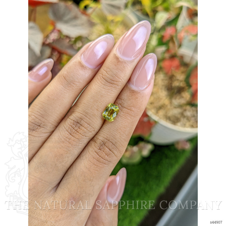1.96 Ct. Greenish Yellow Sapphire from Ceylon (Sri Lanka)