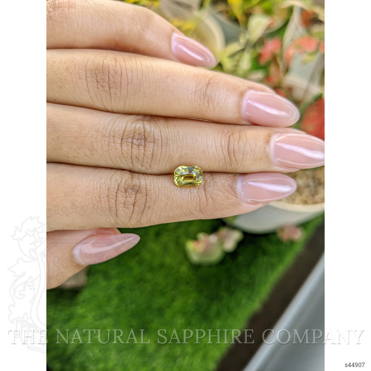 1.96 Ct. Greenish Yellow Sapphire from Ceylon (Sri Lanka)