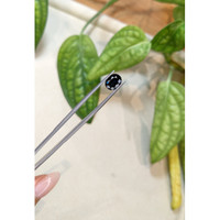 2.23 Ct. Blue Sapphire from Australia Life Style