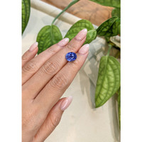 6.28 Ct. Blue Sapphire from Ceylon (Sri Lanka) Life Style