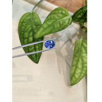 6.28 Ct. Blue Sapphire from Ceylon (Sri Lanka) Life Style