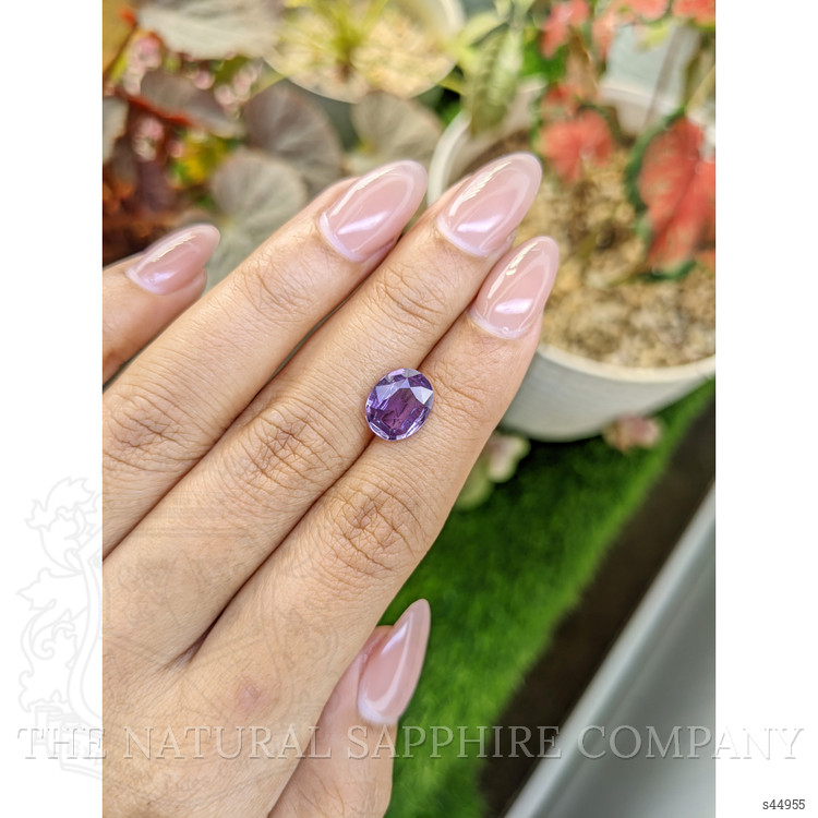 2.87 Ct. Purple Sapphire from Ceylon (Sri Lanka)