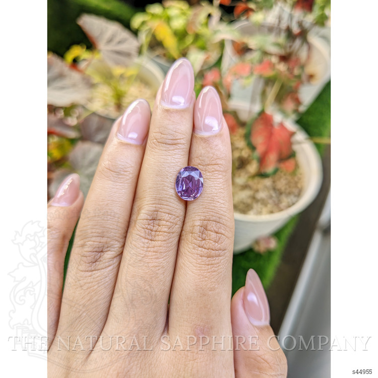 2.87 Ct. Purple Sapphire from Ceylon (Sri Lanka)