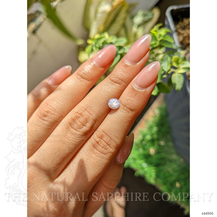 1.33 Ct. Purple Star Sapphire from Ceylon (Sri Lanka)