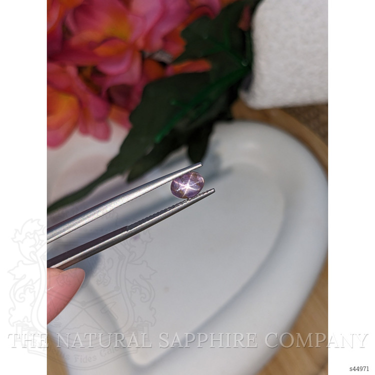 2.01 Ct. Purple Star Sapphire from Ceylon (Sri Lanka)