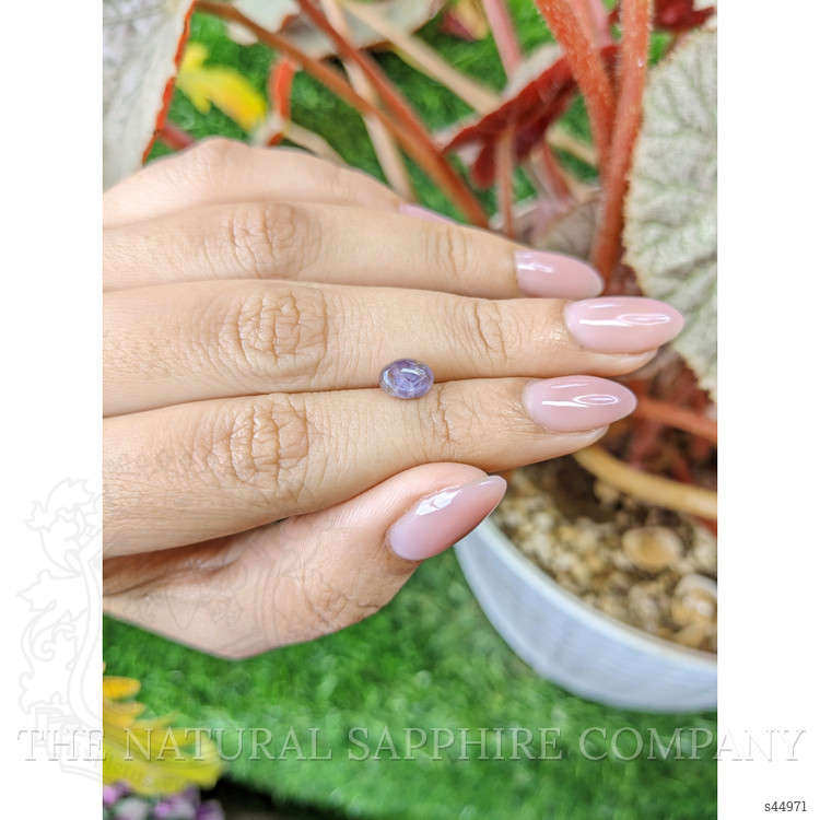 2.01 Ct. Purple Star Sapphire from Ceylon (Sri Lanka)