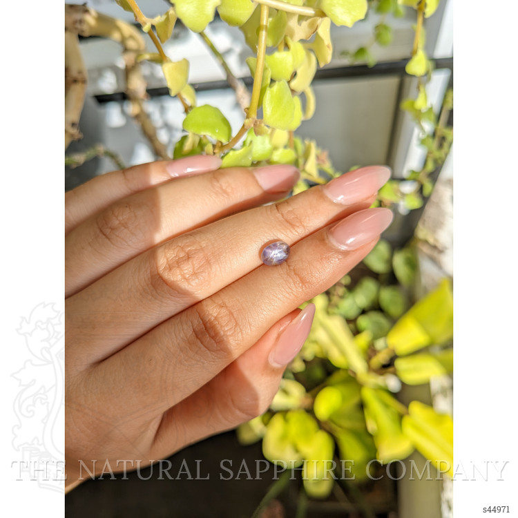 2.01 Ct. Purple Star Sapphire from Ceylon (Sri Lanka)