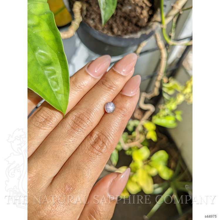 1.68 Ct. Bluish Grey Star Sapphire from Ceylon (Sri Lanka)