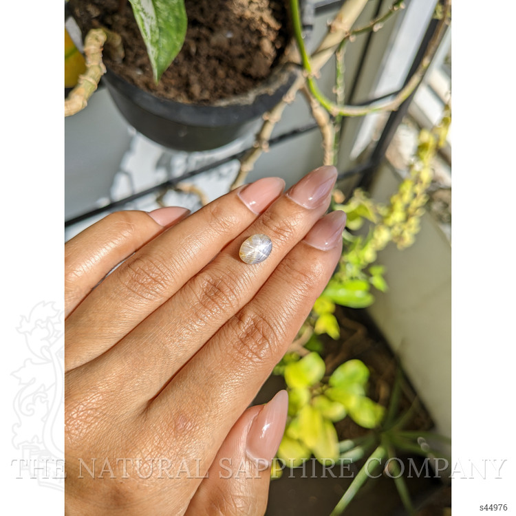 2.69 Ct. Grey Star Sapphire from Ceylon (Sri Lanka)
