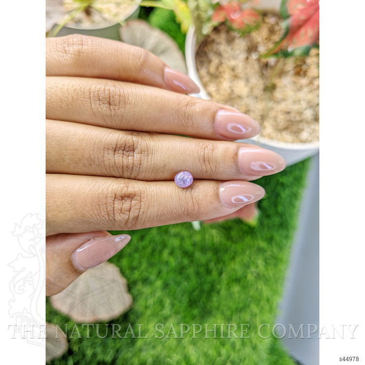 1.18 Ct. Purple Star Sapphire from Ceylon (Sri Lanka)