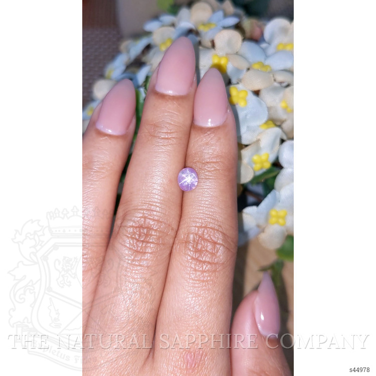 1.18 Ct. Purple Star Sapphire from Ceylon (Sri Lanka)