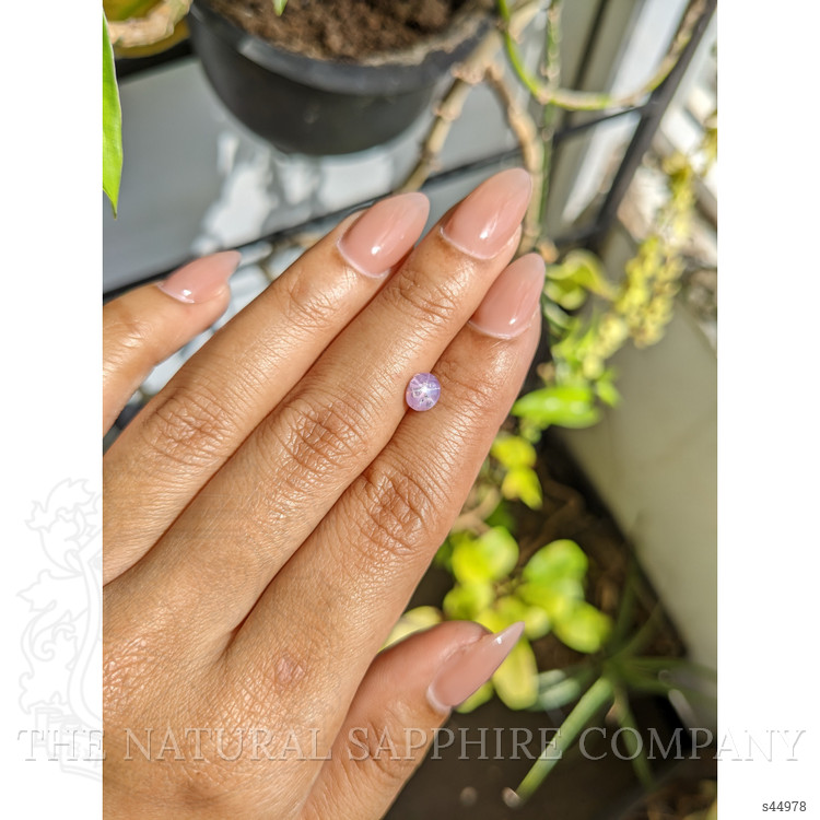 1.18 Ct. Purple Star Sapphire from Ceylon (Sri Lanka)